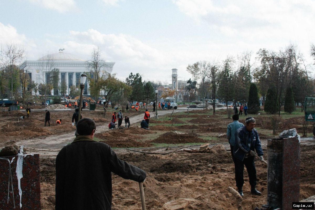🌳⚖️ O‘zbekiston Oliy Sudi binosi oldida daraxtga chiqqan fuqaroning noroziligi