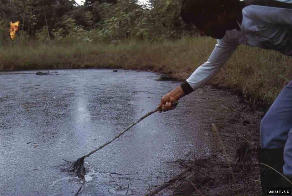 ⚡️🌲 Ekvador Amazonka o‘rmonida frackingni boshladi: neft qazib olish kengaymoqda