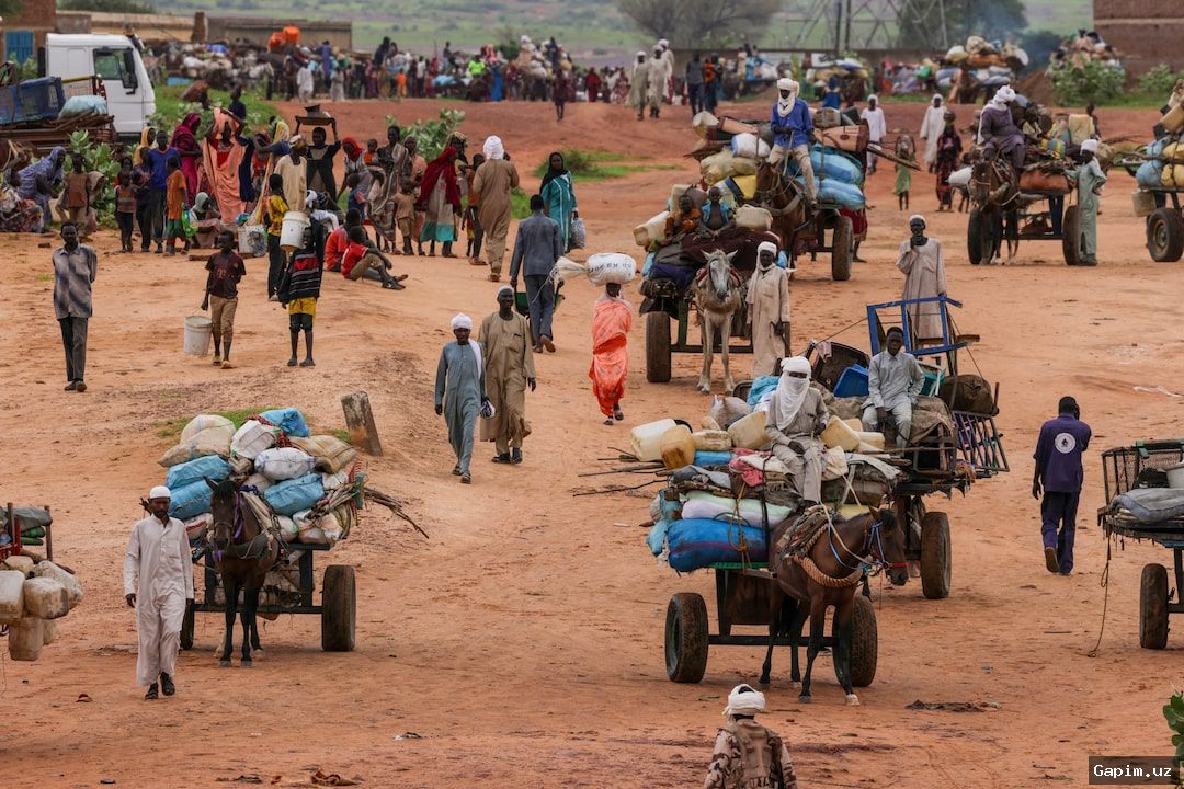 🔍🚨 MSF internal report reveals sexual exploitation of refugees in Chad
