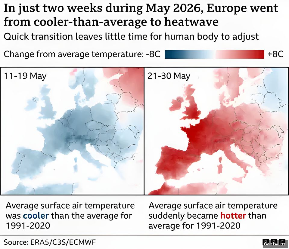 🌍🔥 Europe heatwave 'virtually impossible' without climate change, 200 times more likely