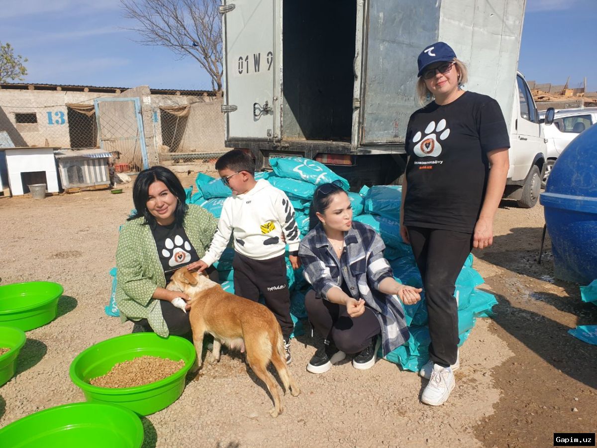 🐕🏠 Жительница Ферганы организовала приют для 90 бездомных собак во дворе своего дома
