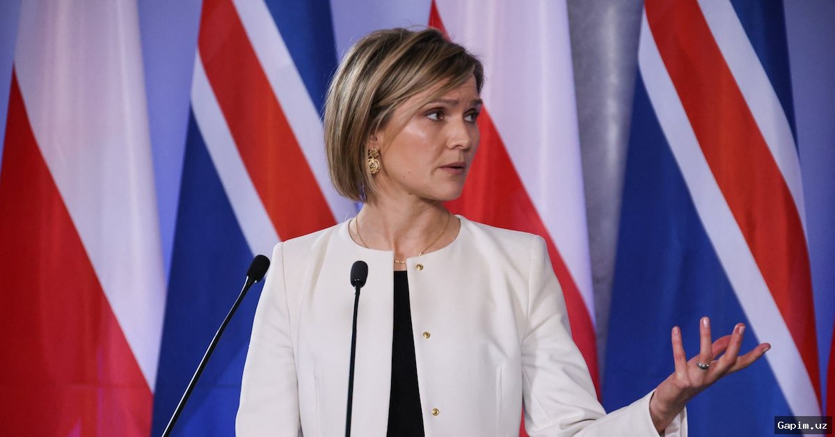 Islandiya Avgust oyida Yevropa Ittifoqiga qo‘shilish bo‘yicha muzokaralarni qayta boshlash haqida referendum o‘tkazadi