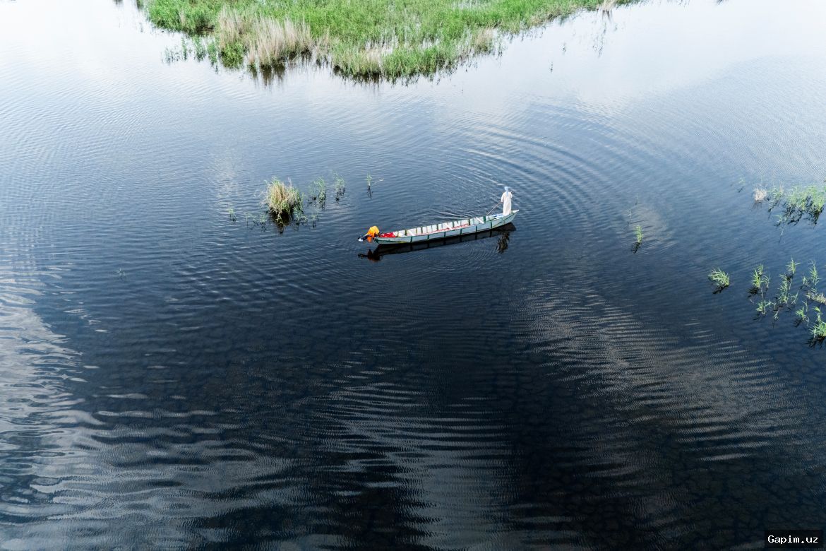 🌊🦆 Iroq botqoqliklari: uzoq kutilgan yomg‘irlardan so‘ng hayot qaytdi