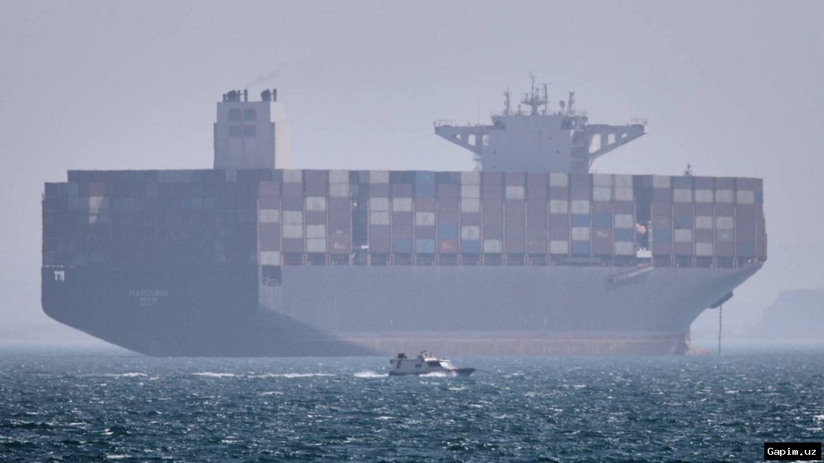 ⚓️🕊️ Strait of Hormuz reopening deal cautiously welcomed by seafarers' advocates