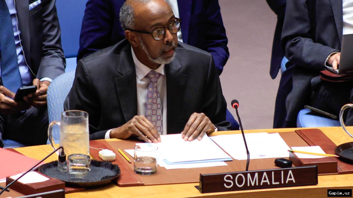🌍🛡️ Избрание Сомали в СБ ООН и СМС АС: Дипломатическое возвышение