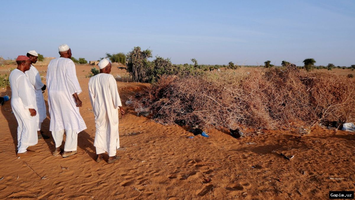 🕊️⚰️ Sudan Army Discovers Mass Grave with 25 Bodies, Including Women and Children