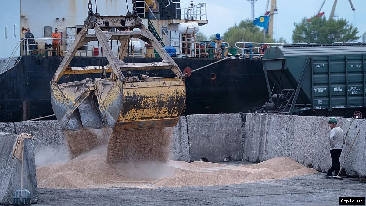 ⚡️🌾 Zelenskiy Isroilni o'g'irlangan donni sotib olishda aybladi