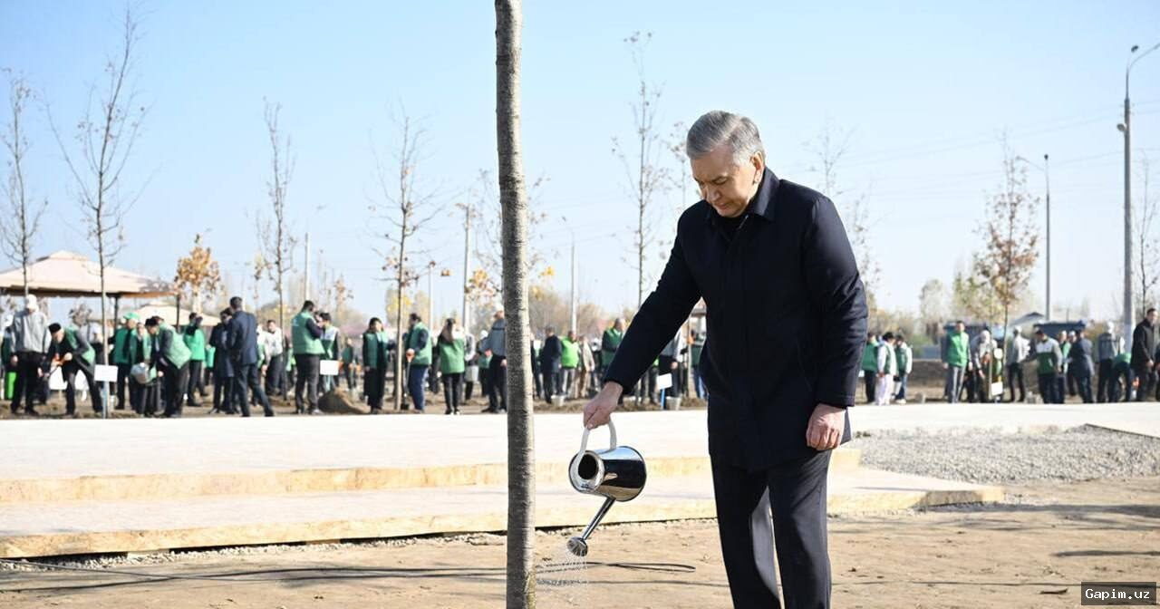 В Узбекистане утвержден порядок поощрения предприятий за снижение вреда природе