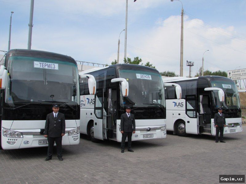 🚌🚪 В Ташкенте пассажиры не приняли практику входа в автобусы только через переднюю дверь