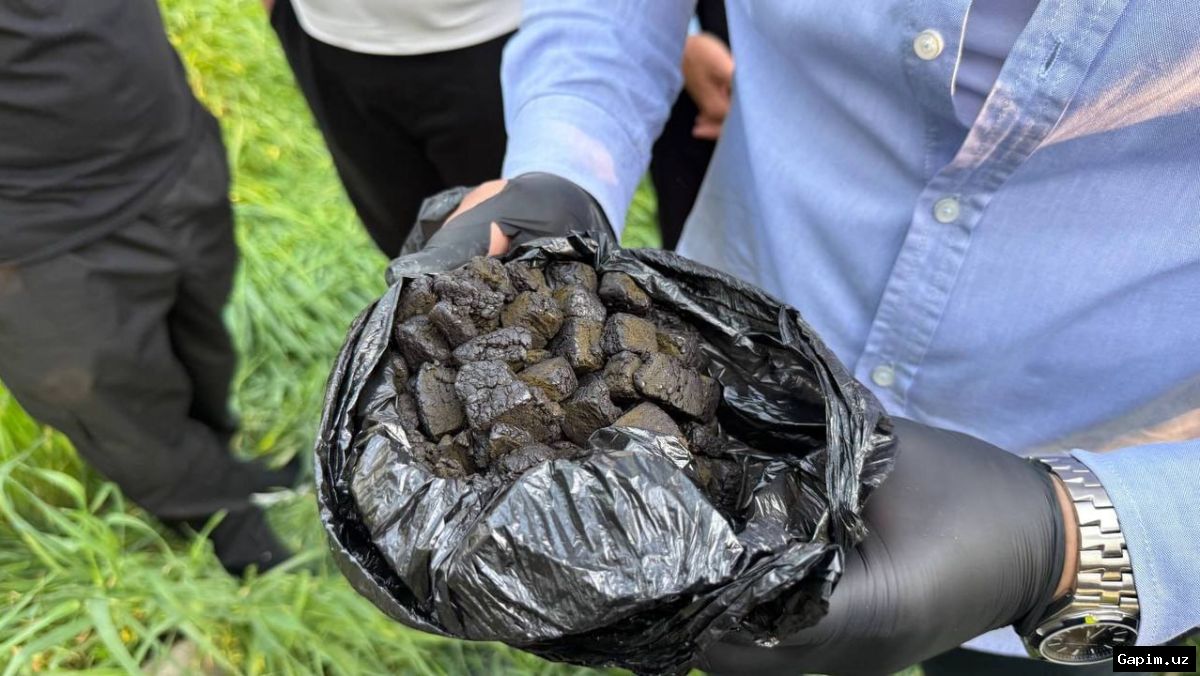 🚨📦 В Чирчике задержан 17-летний школьник с 852 граммами гашиша