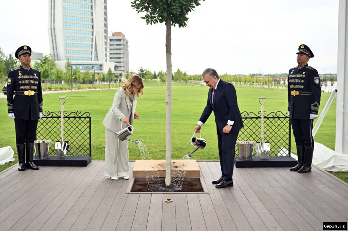 🌳💰 Prezident Mirziyoyev 'Mening bog‘im' dasturiga mablag‘ oshirdi