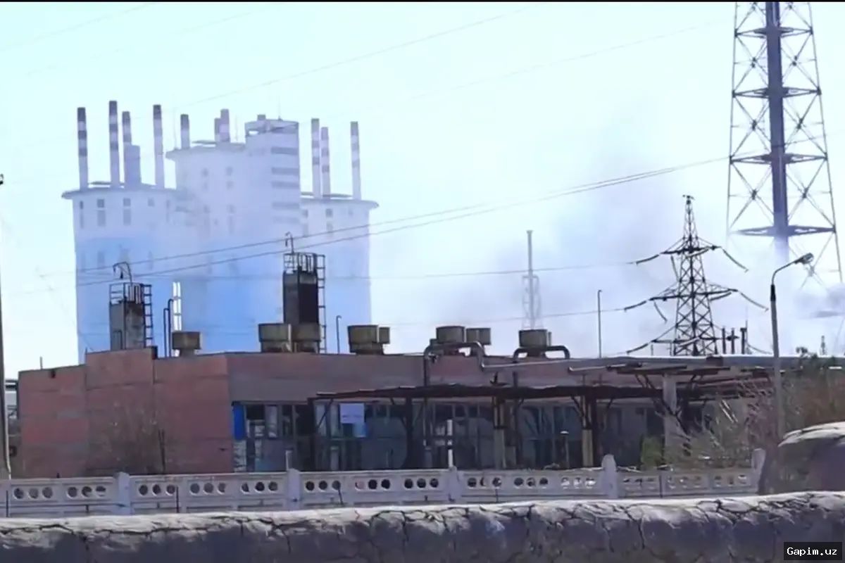 ⚡️🐄 Power Line Collapse in Jizzakh Region: Livestock Killed, Compensation Only Through Court