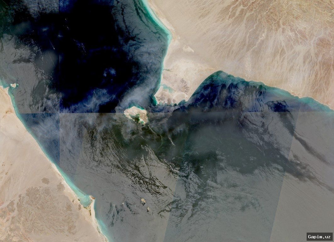 🌊⚓ Саудовская Аравия и 13 стран создали морскую коалицию для защиты судоходства в Красном море