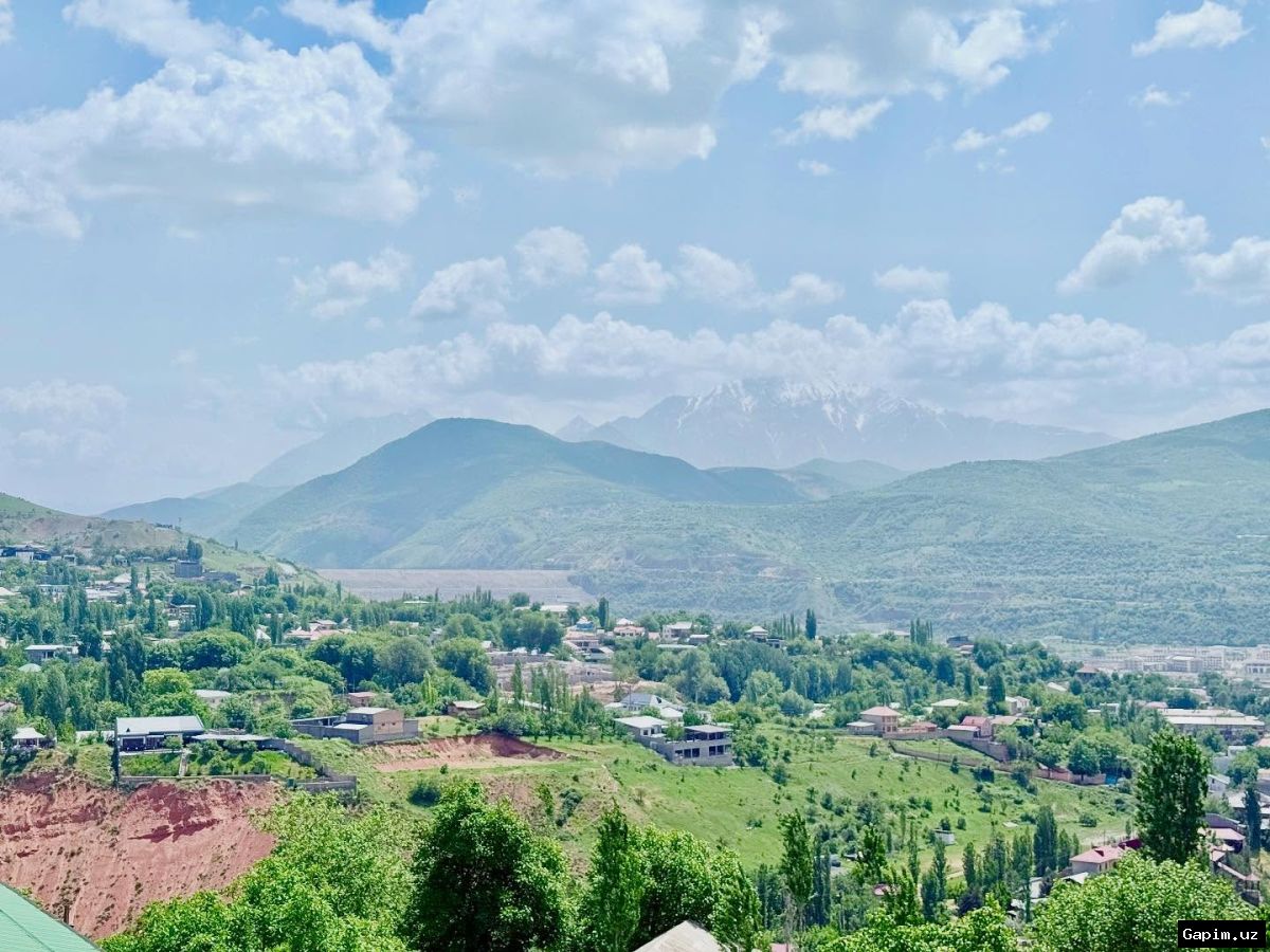 🌳🚗 Prezident “Toza havo” umummilliy loyihasini boshladi: Toshkentda ekologik vaziyat yaxshilanadi