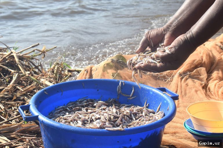 👩‍🦰🚣‍♀️ Keniyada ayollar: Viktoriya ko‘lida an’anaviy taqiqlarni buzish