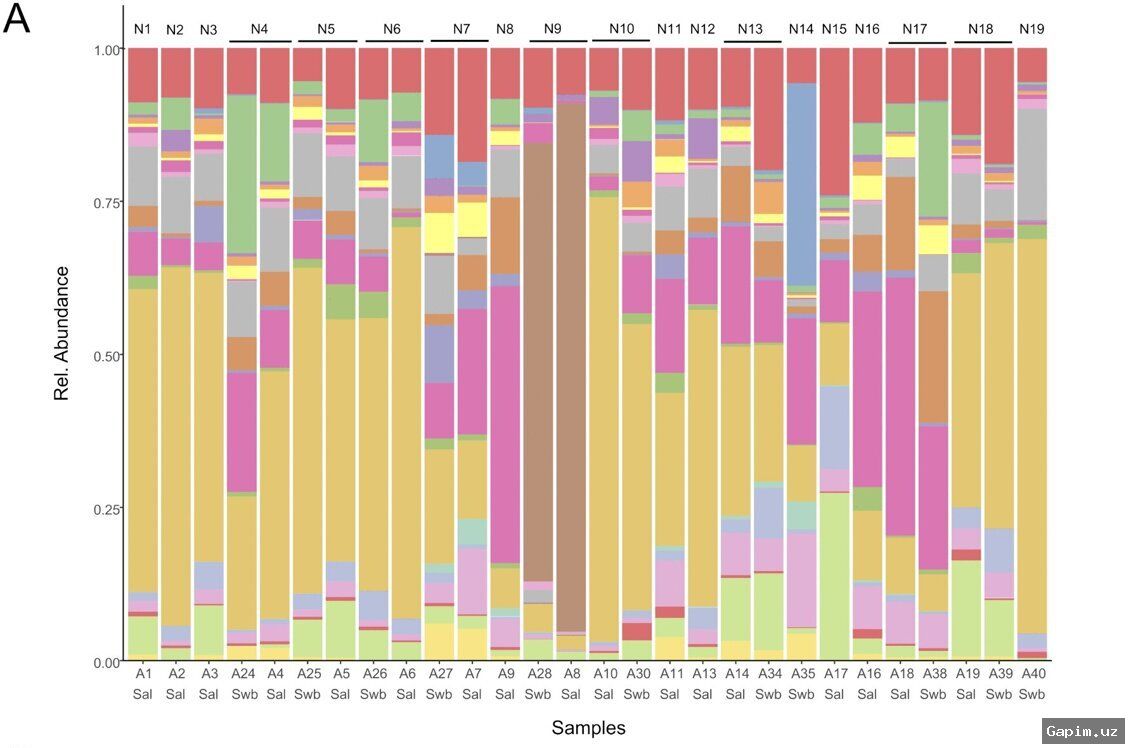 🔬🦠 Обнаружена новая бактерия, вызывающая смертельную детскую болезнь нома