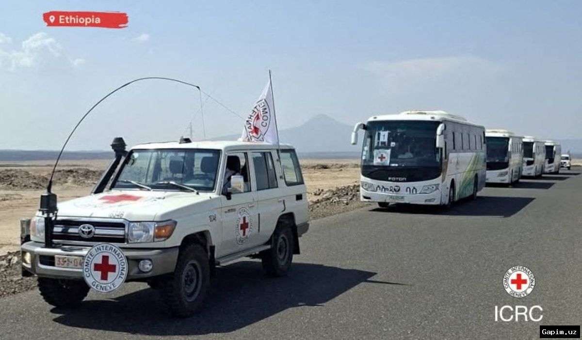 🌍⚔️ В Эфиопии возобновился конфликт: правительственные силы захватили Аламату
