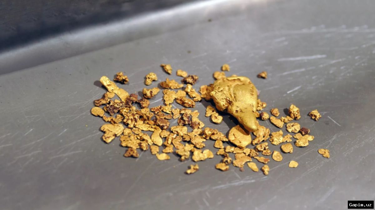 ⛏️⚖️ Illegal gold mining ring busted in Navoi region