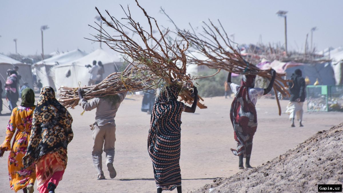 ⚔️😔 Rape and Sexual Violence Persist as 'Part of Everyday Life' in Sudan's War – MSF Report