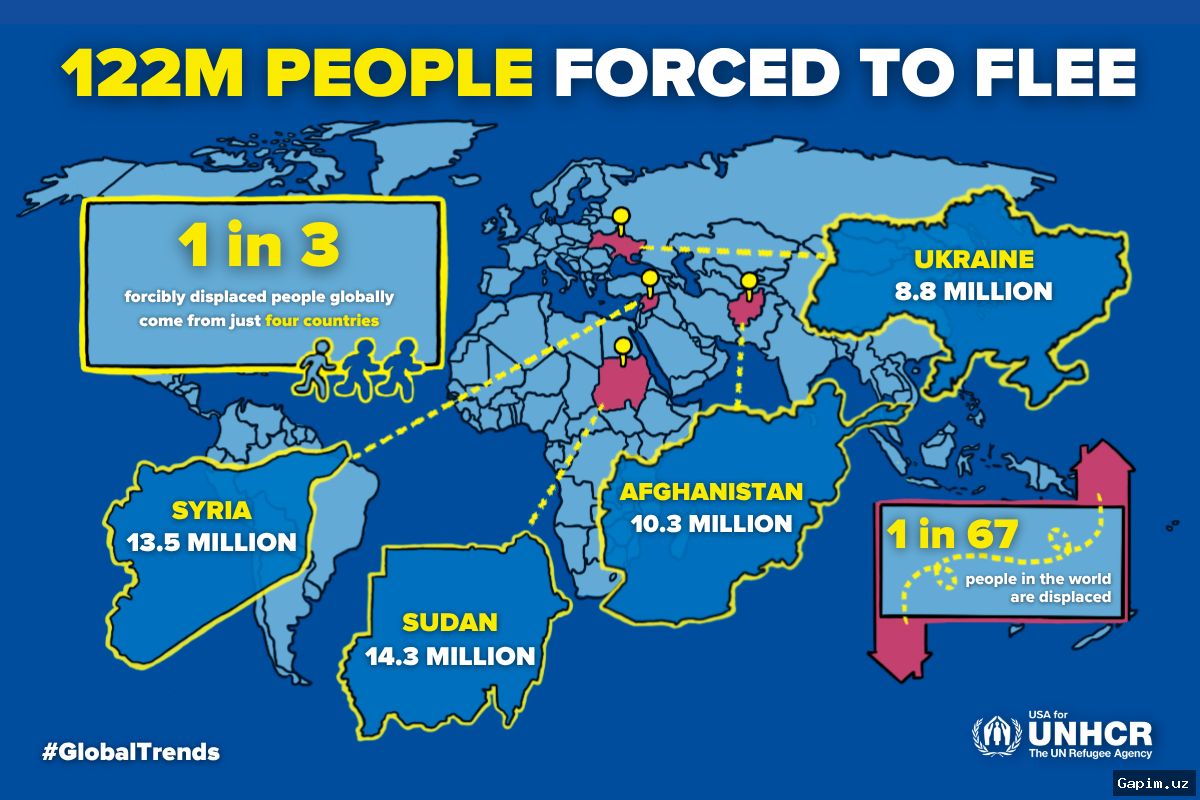 🌍📉 UNHCR Report: 117.8 Million People Forcibly Displaced Worldwide