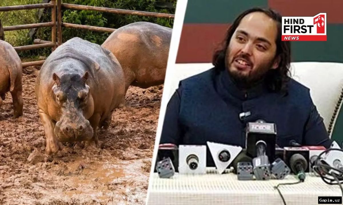 🐘🇨🇴 Сын индийского миллиардера предложил приютить «кокаиновых бегемотов» Пабло Эскобара