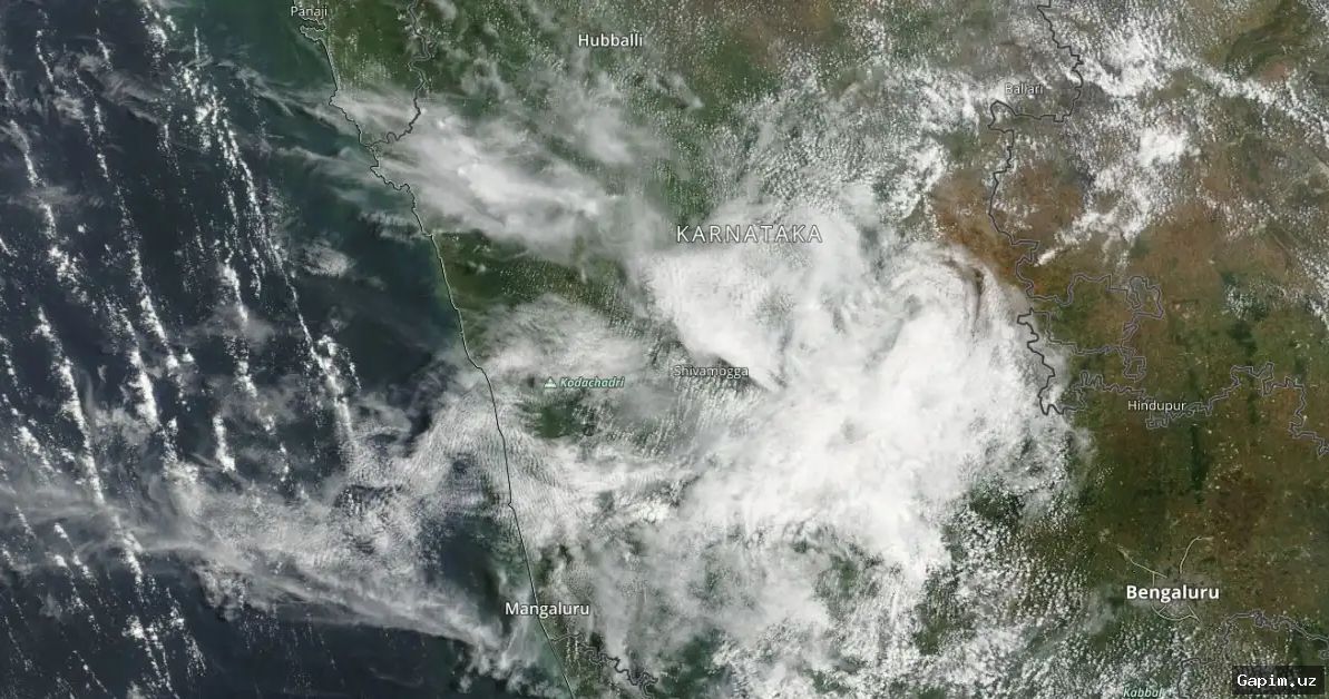 🌧️🇮🇳 India braces for weak monsoon rains, Karnataka chief minister resigns