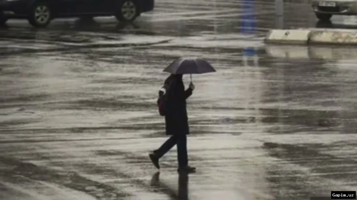 🌬️⚠️ Strong Winds Hit Tashkent: City Authorities Issue Warning