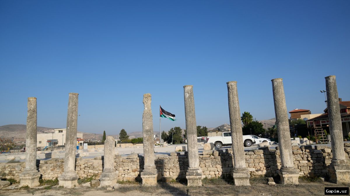 🏛️🌿 Isroil hokimiyati Sebastiyada falastinliklar yerini musodara qilmoqda: YuNESKO ogohlantirmoqda