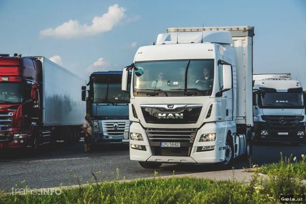 🚚🇩🇪 Германия якобы открывает вакансии для водителей грузовиков из Узбекистана