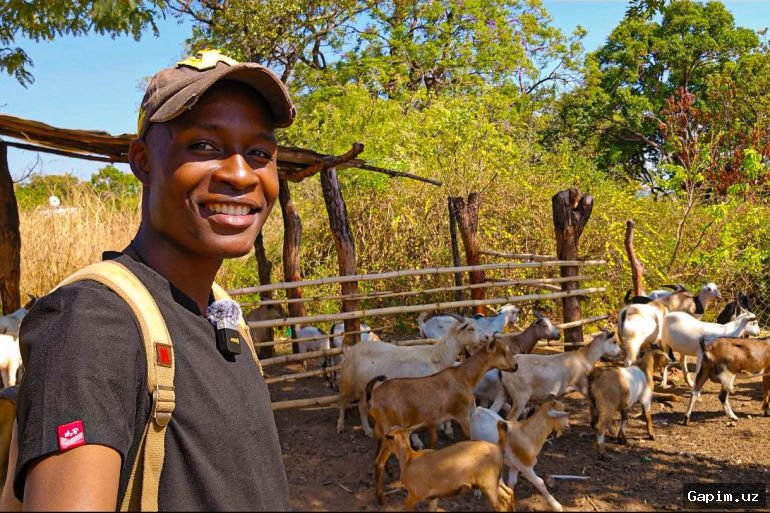 🇿🇼🏡 Zimbabve diasporasi ko'chmas mulk va qishloq xo'jaligiga sarmoya kiritmoqda: Ijtimoiy tarmoq ta'sirchilari tendentsiyani shakllantirmoqda