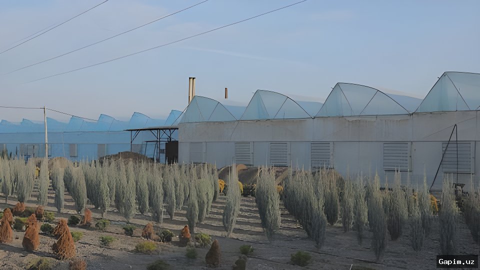 🌱🏙️ Toshkent va atrofidagi issiqxonalarni energiya samarali hududlarga ko‘chirish taklif qilindi