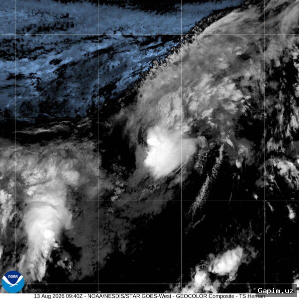🌪️🌊 Hurricane Lala approaches Hawaii: historic threat looms