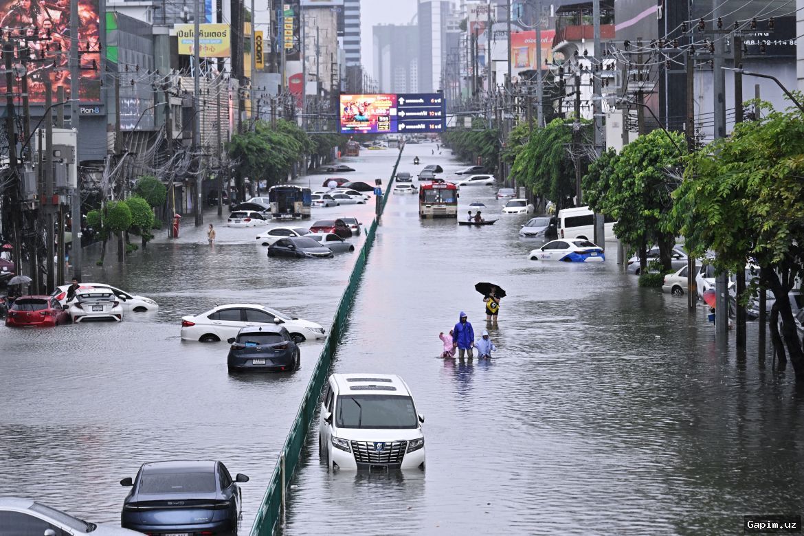 🌊🏙️ Bangkokda kuchli suv toshqini: 52 mingdan ortiq xonadon zarar ko‘rdi