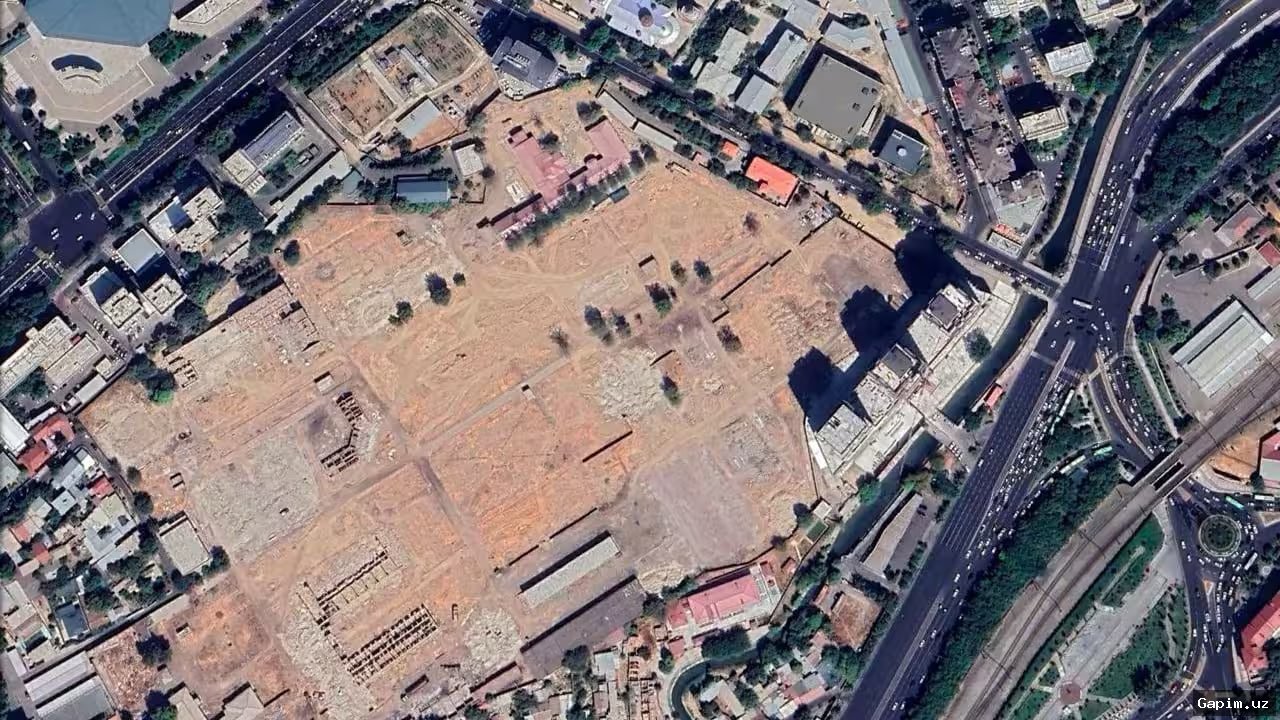 🌳⚠️ Tashkent's Central Trees: Over 70 to Be Felled, Replanting Initiative Launched