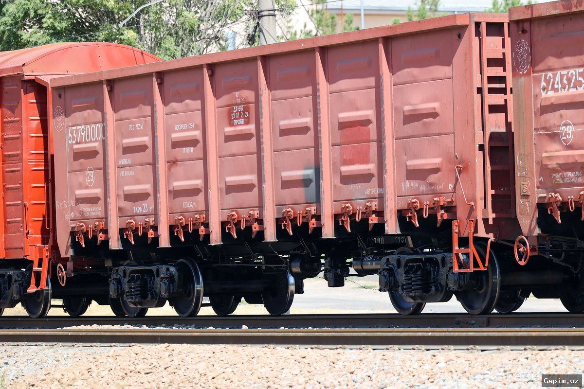 📉🚨 New Export Rules: Uzbekistan Implements 'Green', 'Yellow', and 'Red' Corridors for Fruit and Vegetable Shipments