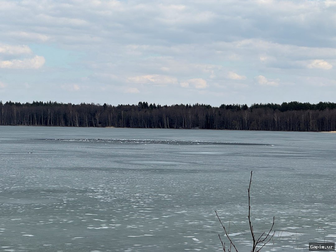 🛸⚠️ Litva Bosh Vaziri: Chegaraga Qulagan Dron Ukrainadan, Rossiyaga Qaratilgan