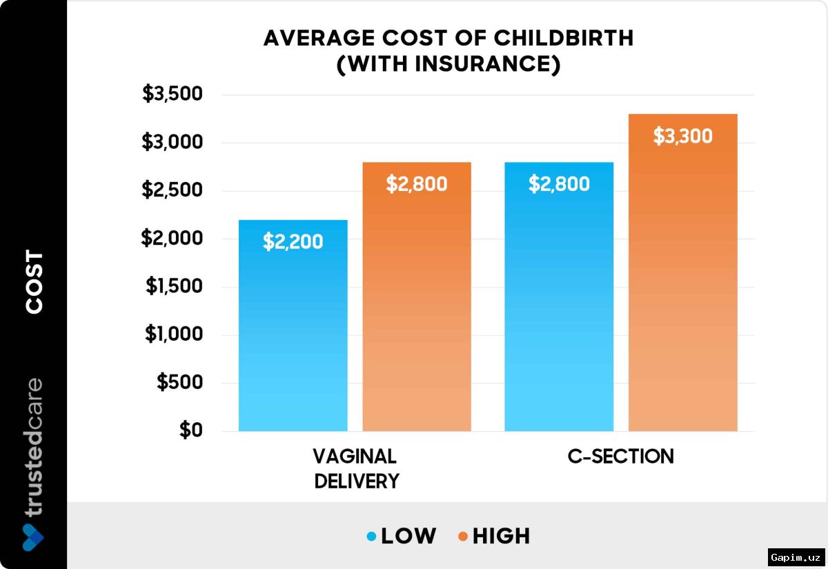 💸🍼 The price of motherhood in the US: childbirth, childcare costs among highest in the world