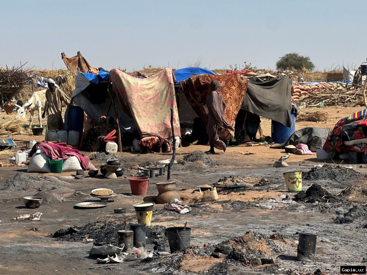 🇬🇧🌍 British regime slaps sanctions on Sudanese commanders amid ongoing conflict fallout