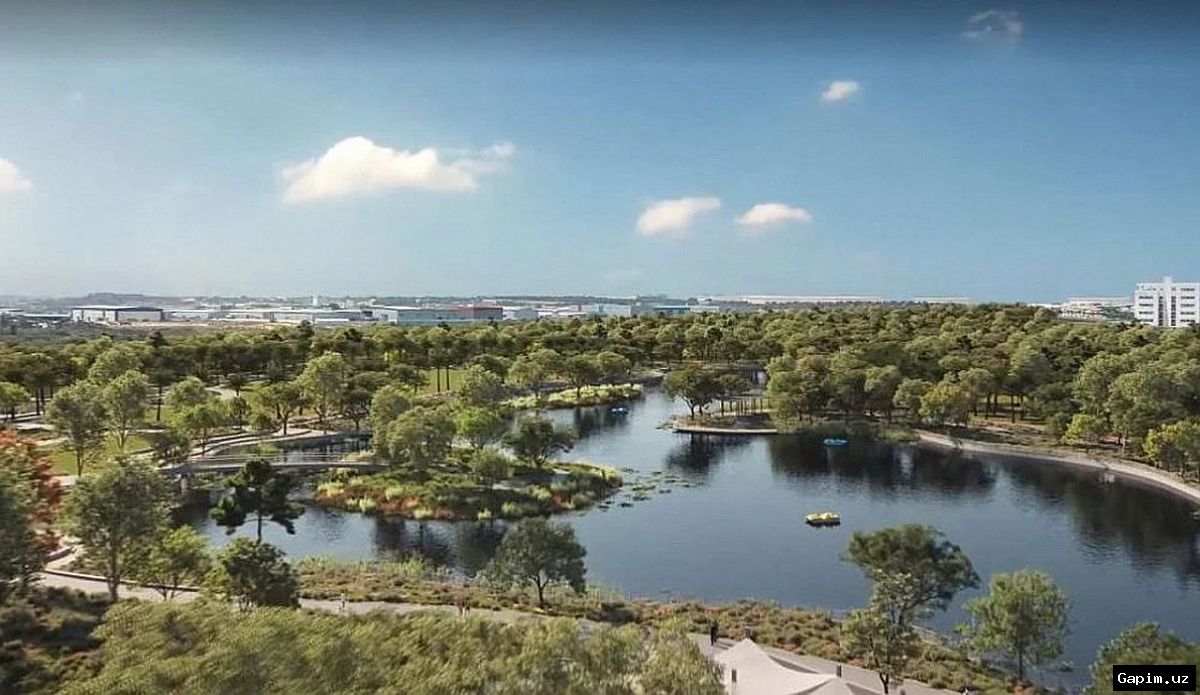 🏫🌳 В Ташкенте построят школы нового формата и создадут искусственные озера