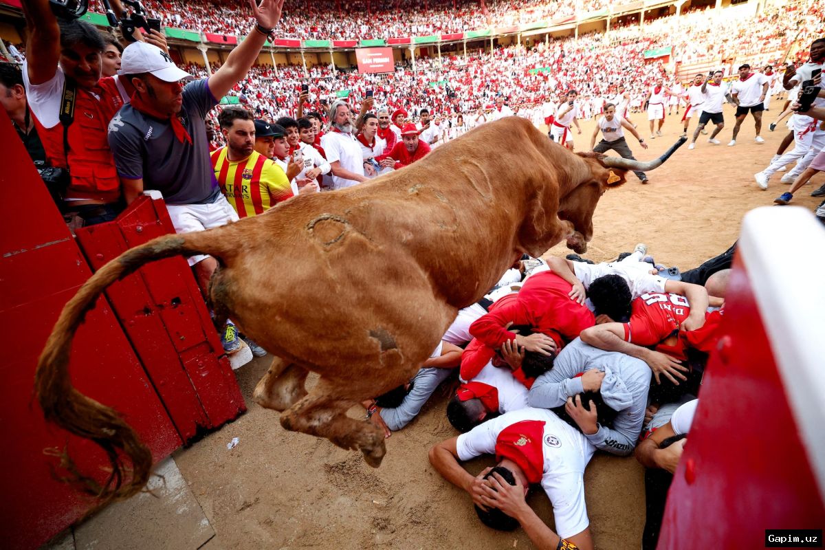 🐂🎉 Pamplona's San Fermin Festival Kicks Off with 'Chupinazo': Thousands Gather for Bull Runs