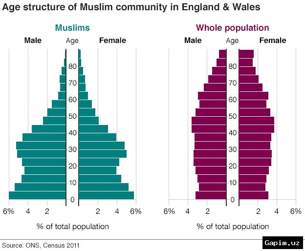 📊🇬🇧 Young Muslims reshaping UK politics as demographic shift accelerates