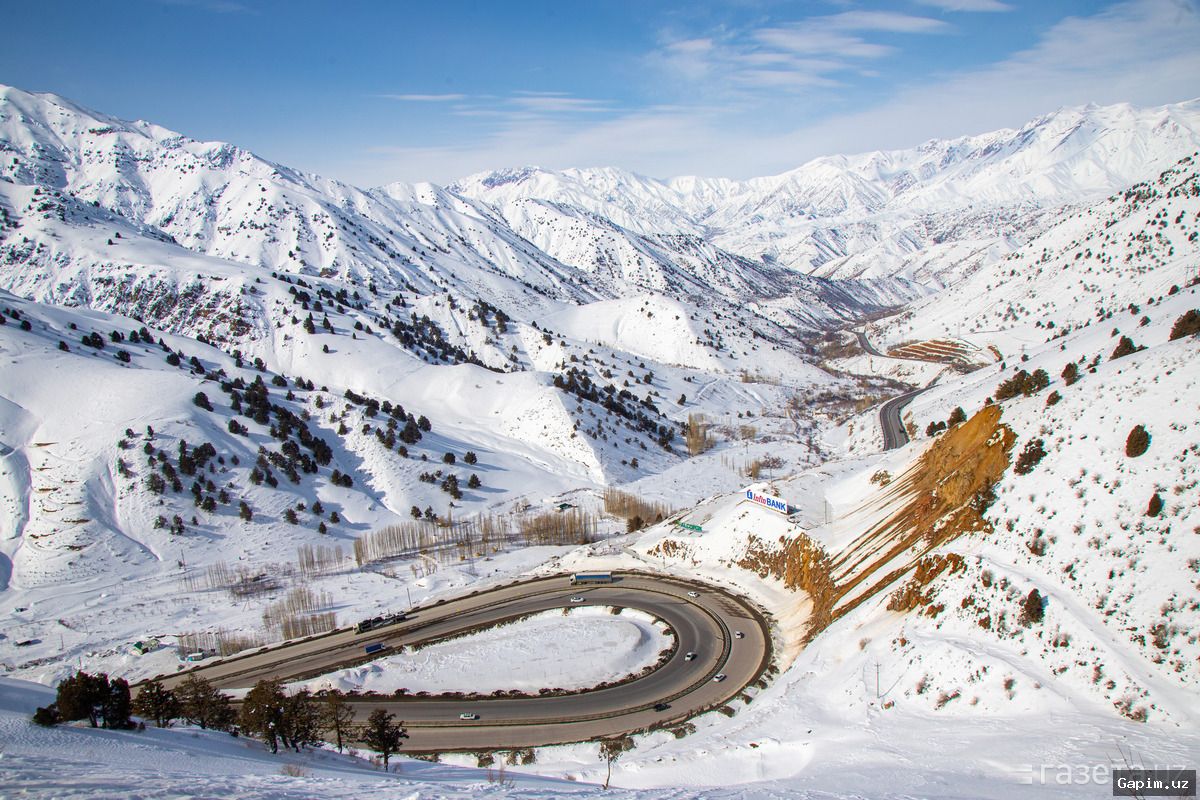 🚨🚗 Kamchik dovoni yo‘lida avtohalokat: Damas avtomobili kuvetga yiqildi