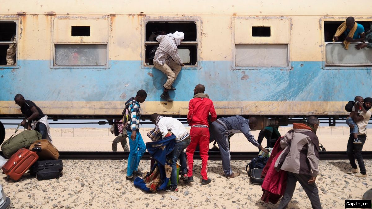 ⚖️🌍 Мавритания: жестокая кампания депортации мигрантов – жизнь в тени и вымогательство