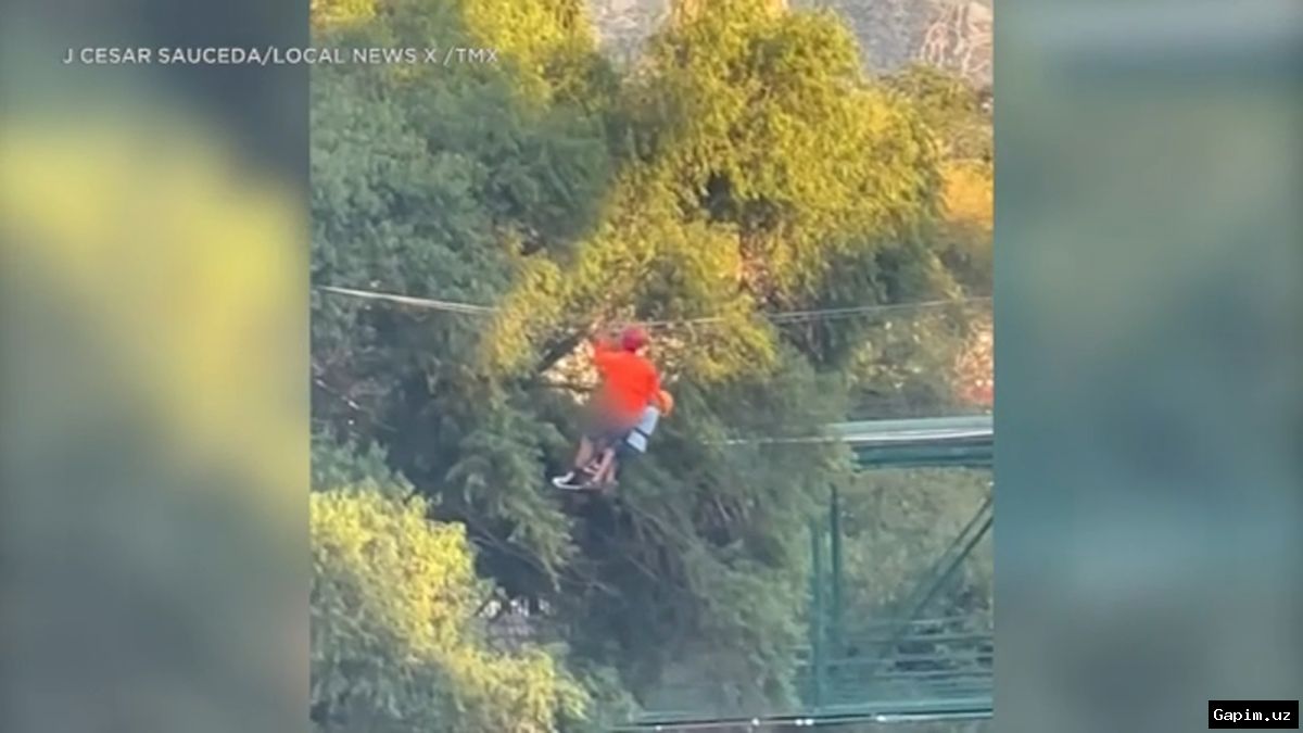 ⚠️🚠 В горах Намангана демонтированы нелегальные экстремальные аттракционы