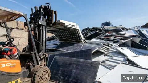 🌐📉 Environmental Crisis and Economic Transition: Global Sustainability Challenges