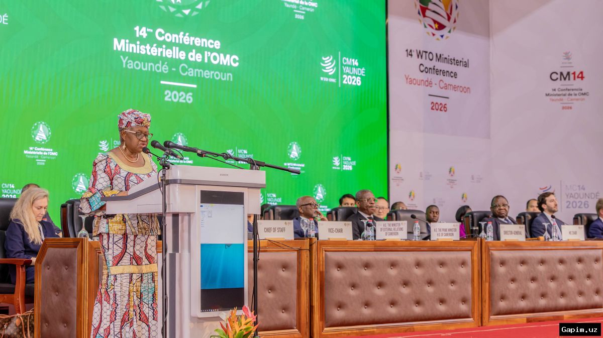 🌐💥 ВТО на грани кризиса: Угроза "хаотичного краха" на фоне глобальных потрясений