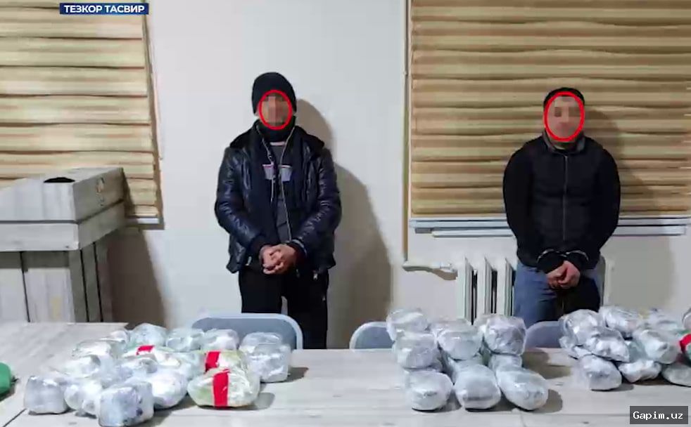 🚔💊 Hashish and Potent Drugs Found in Passenger's Luggage at Tashkent Entry Checkpoint