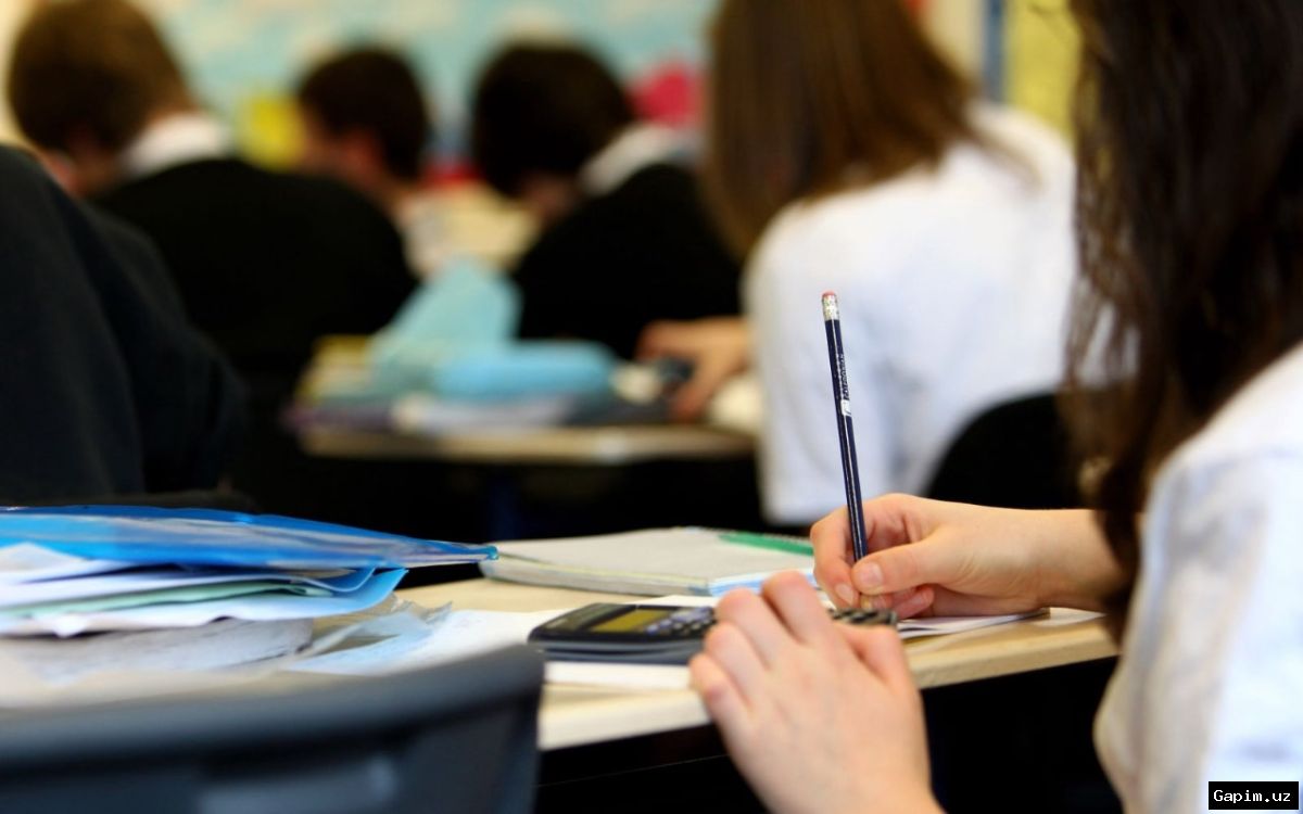 📅🏫 O‘zbekistonda 11-may kuni maktab va bog‘chalar ishlamaydi