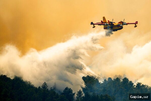 🔥🌲 Fast-moving Colorado wildfire forces thousands to flee, destroys over 160 structures