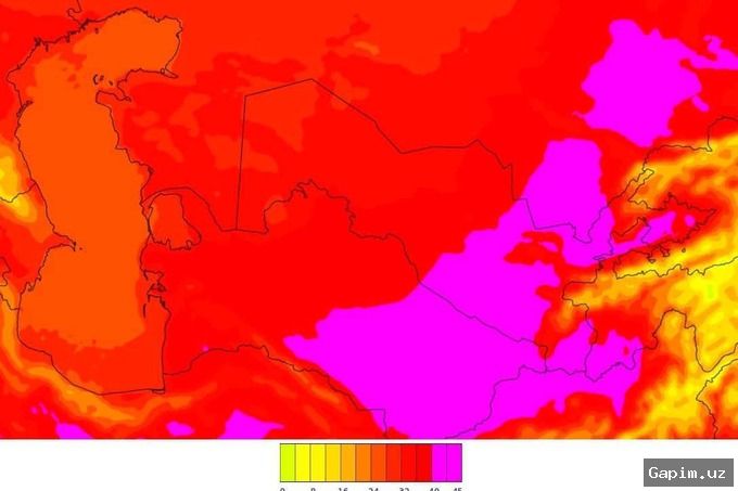 🌤️🌧️ Прогноз погоды в Узбекистане на неделю: жара до +44°C и кратковременные дожди